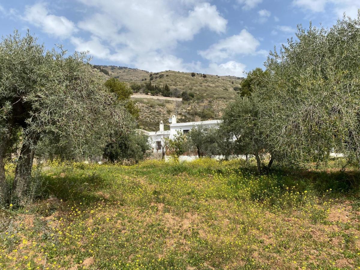 Finca Las Fuentezuelas Carataunas Eksteriør bilde
